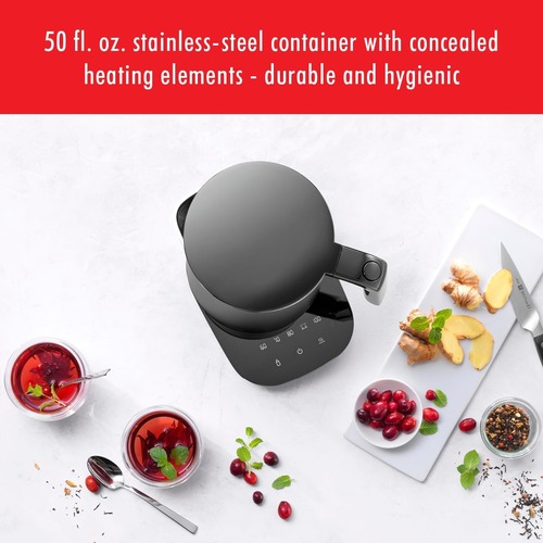 Zwilling Enfinigy  Zwilling Enfinigy_