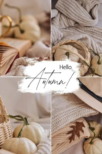 Autumn Accents